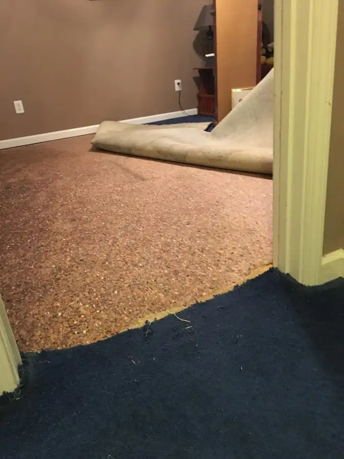 Carpet pad removal revealing water damage during Drying & Dehumidification in Olivehurst