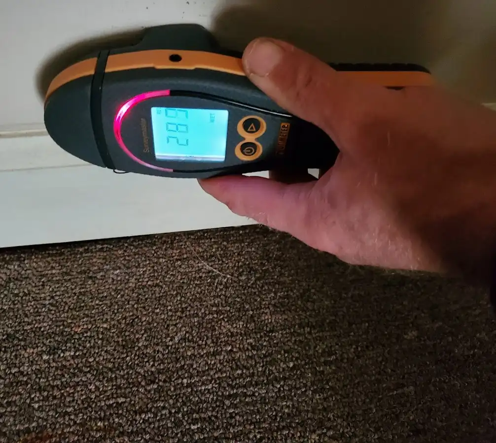 Moisture detection at baseboard during Sewage Cleanup & Sanitation in Olivehurst